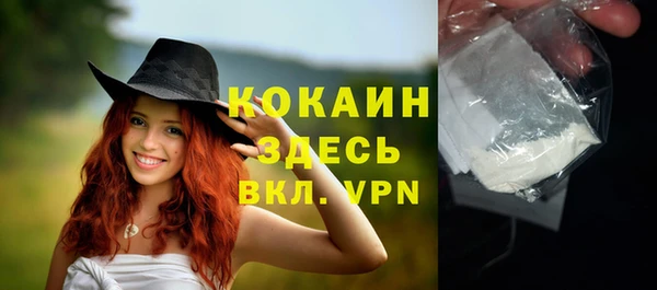 сатива Лагань