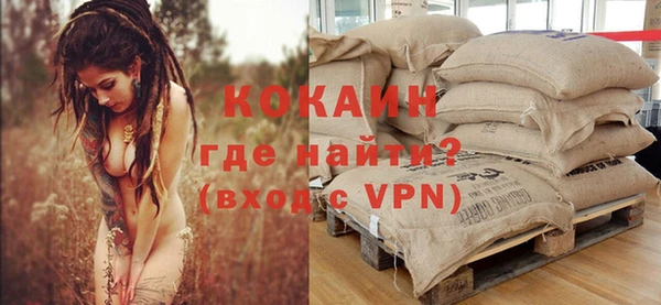 сатива Лагань