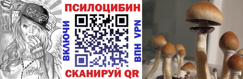 Галлюциногенные грибы Cubensis  Лодейное Поле 